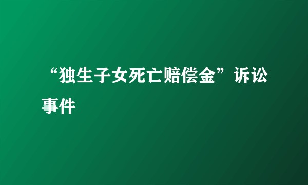 “独生子女死亡赔偿金”诉讼事件