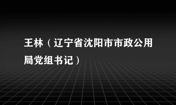 王林（辽宁省沈阳市市政公用局党组书记）