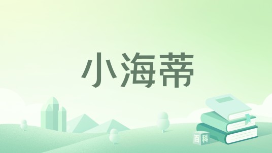 小海蒂（约翰娜·斯比丽创作的儿童文学作品）