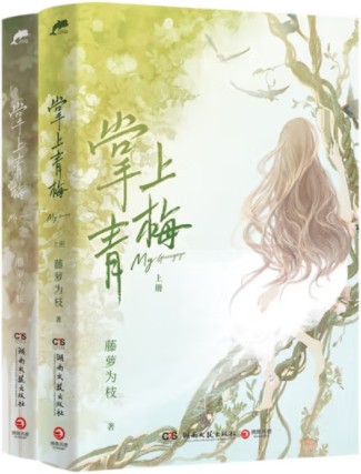 掌上青梅（2022年湖南文艺出版社出版的图书）