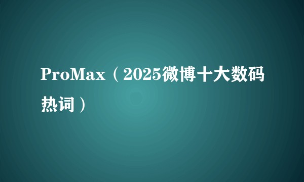 ProMax（2025微博十大数码热词）