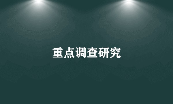 重点调查研究