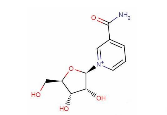 烟酰胺核糖