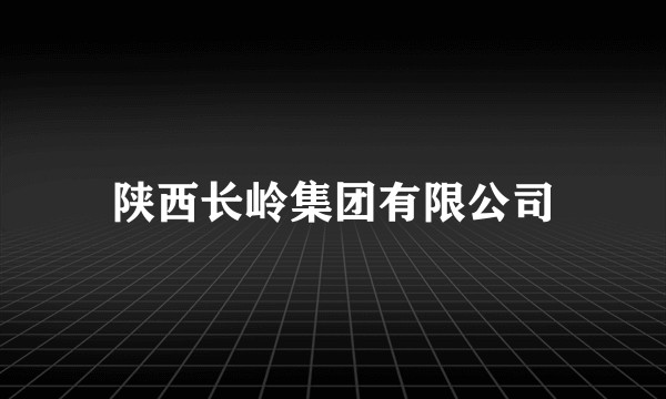 陕西长岭集团有限公司