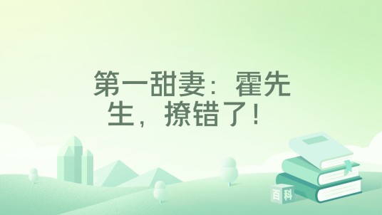 第一甜妻:霍先生,撩错了!(南浅著作的小说)