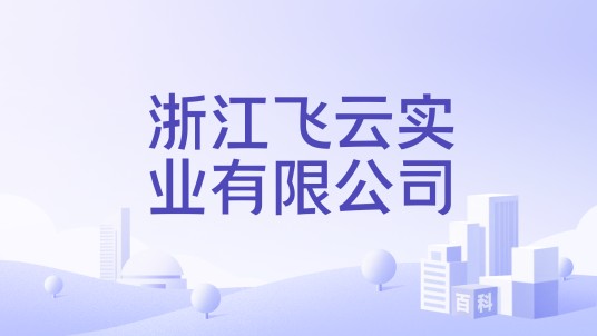浙江飞云实业有限公司