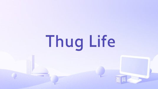 Thug Life（2001年Greg Carter执导的电影）