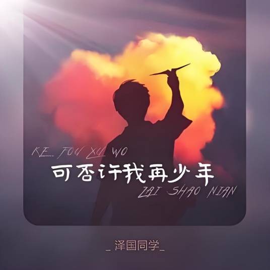 可否许我再少年（泽国同学演唱的歌曲）
