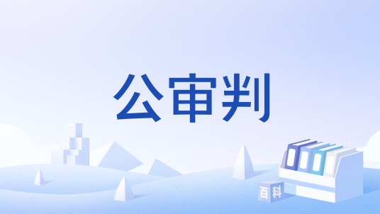 公审判