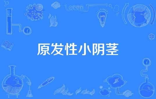 原发性小阴茎