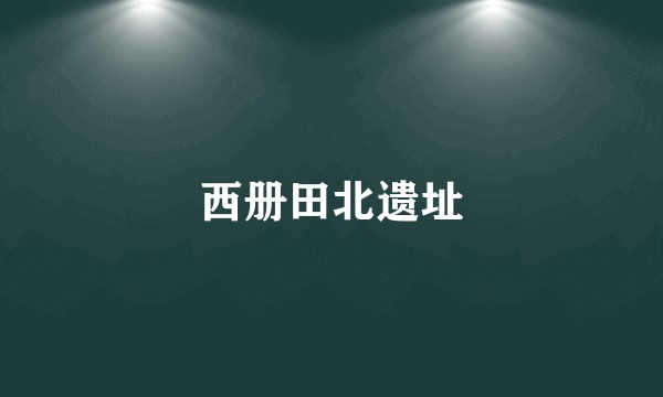 西册田北遗址