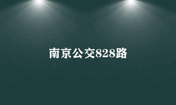 南京公交828路