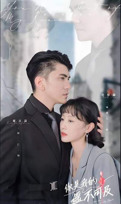 你是我的遥不可及