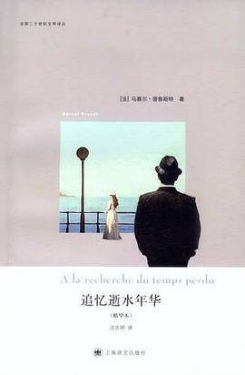 追忆逝水年华（2012年上海译文出版社出版的图书）