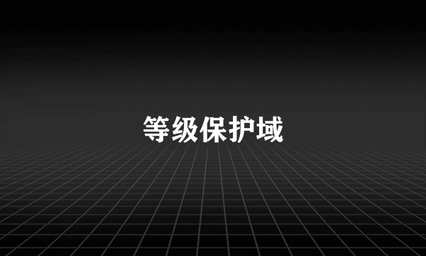 等级保护域