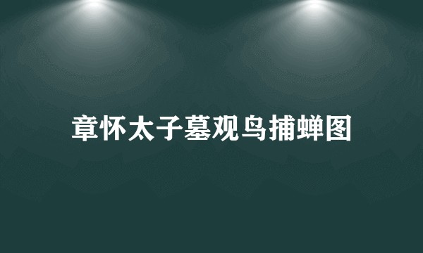 章怀太子墓观鸟捕蝉图