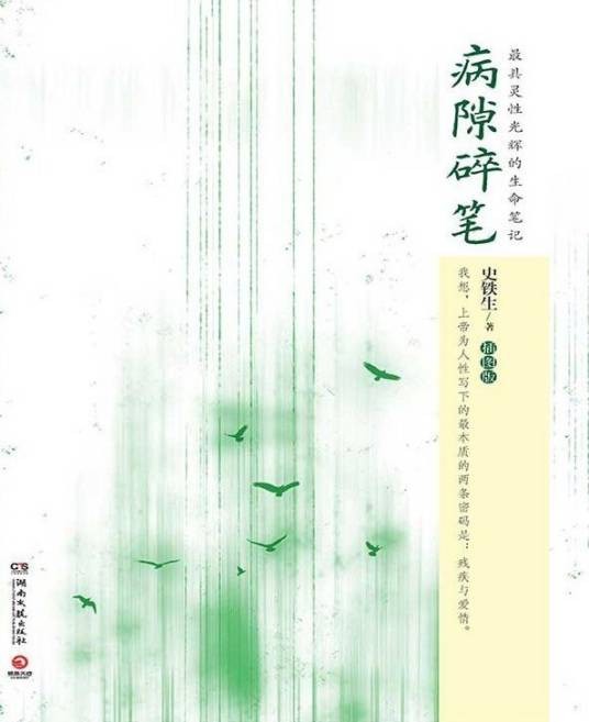 病隙碎笔（2014年湖南文艺出版社出版的图书）