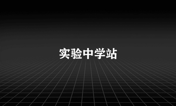 实验中学站
