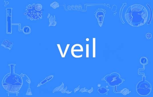 Veil（英语单词）