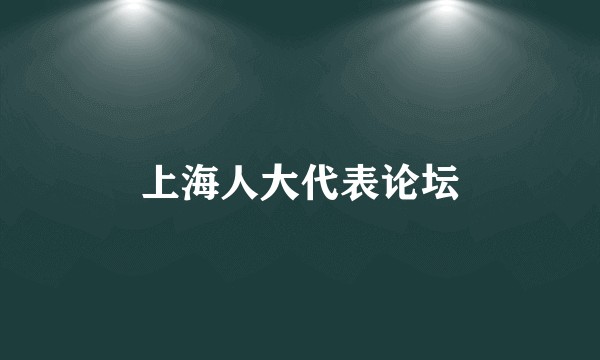 上海人大代表论坛