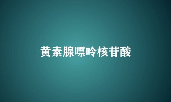 黄素腺嘌呤核苷酸