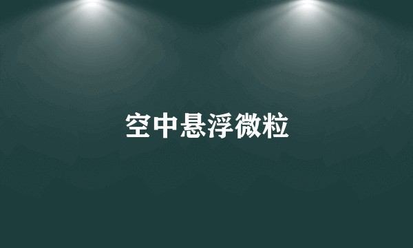 空中悬浮微粒
