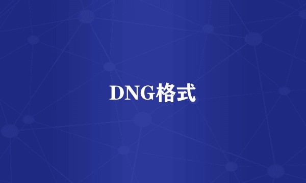 DNG格式