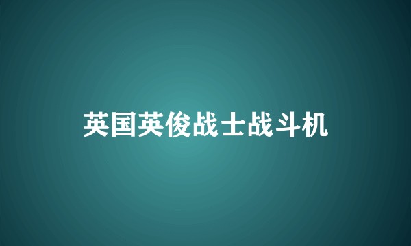 英国英俊战士战斗机