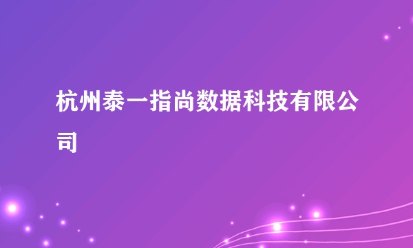 杭州泰一指尚数据科技有限公司