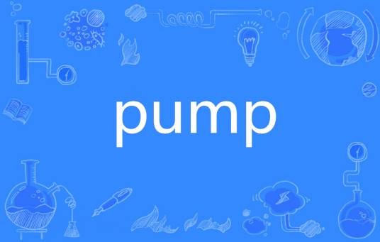 pump（英语单词）