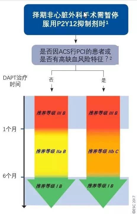 DAPT