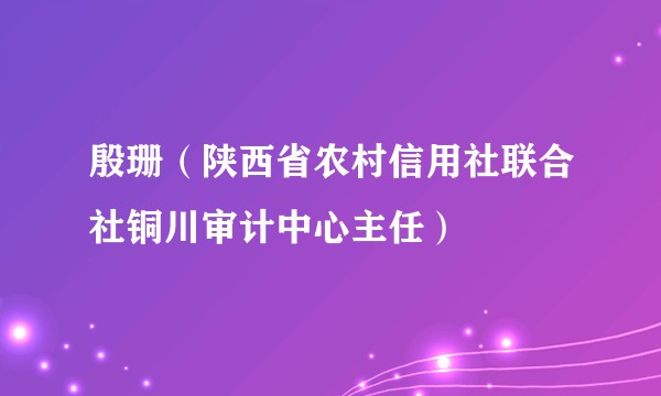 殷珊（陕西省农村信用社联合社铜川审计中心主任）