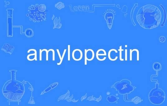 amylopectin
