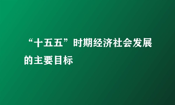 “十五五”时期经济社会发展的主要目标