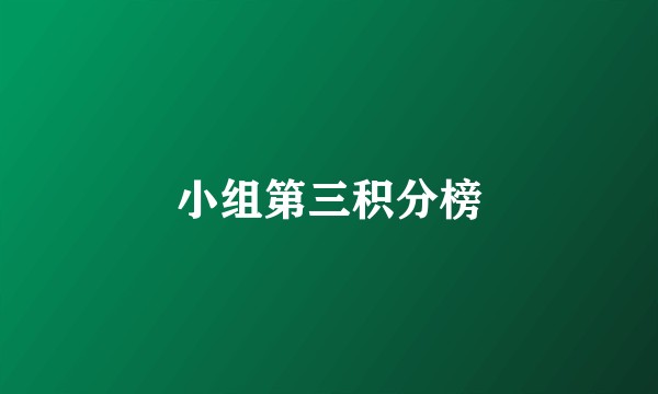 小组第三积分榜