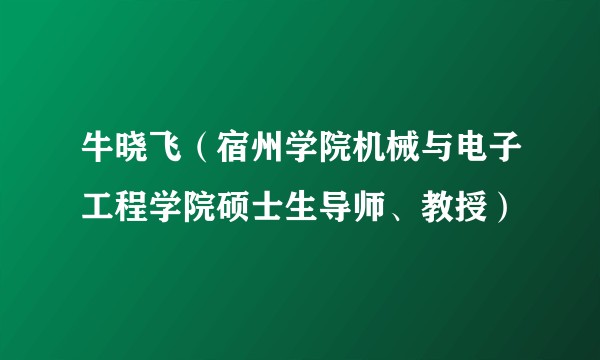 牛晓飞（宿州学院机械与电子工程学院硕士生导师、教授）