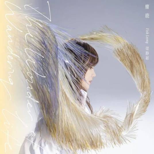 预感（2023年梁静茹演唱的歌曲）