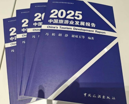 2025中国旅游业发展报告