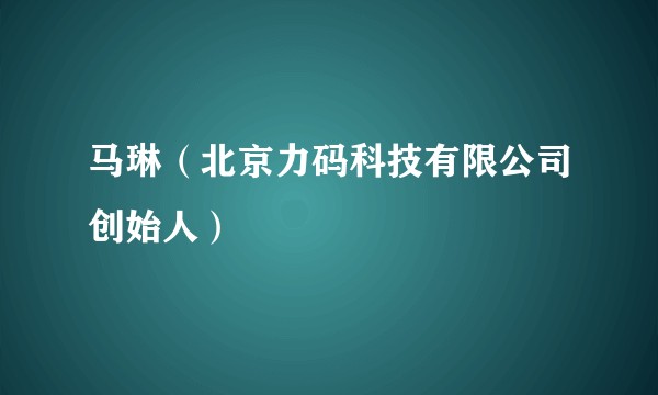 马琳（北京力码科技有限公司创始人）
