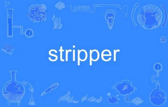 stripper（英语单词）