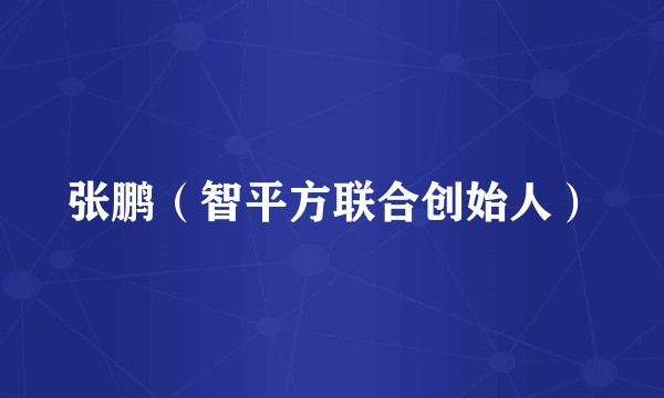 张鹏（智平方联合创始人）