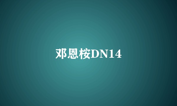 邓恩桉DN14