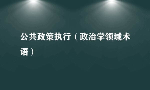 公共政策执行（政治学领域术语）