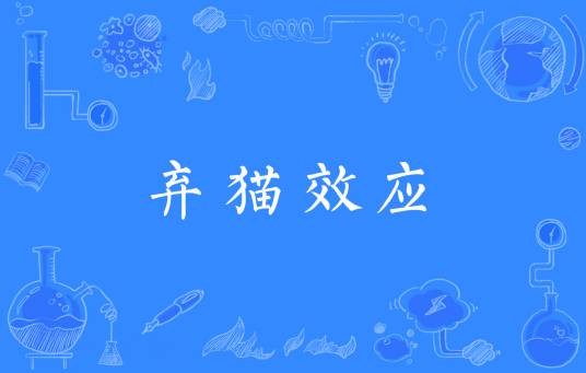 弃猫效应（网络流行词）