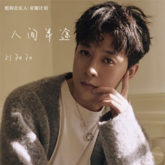 人间半途（2024年刘阳阳演唱的流行歌曲）
