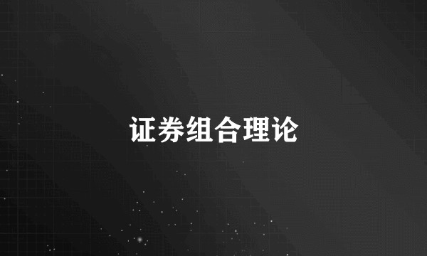 证券组合理论
