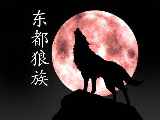 东都狼族网游公会