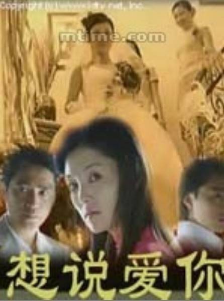想说爱你（2004年杨韬、姜若谨执导的爱情剧）