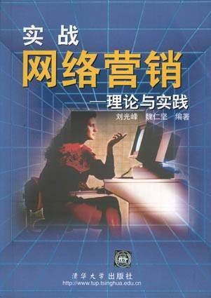 实战网络营销――理论与实践