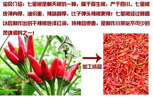 七星椒（辣椒）